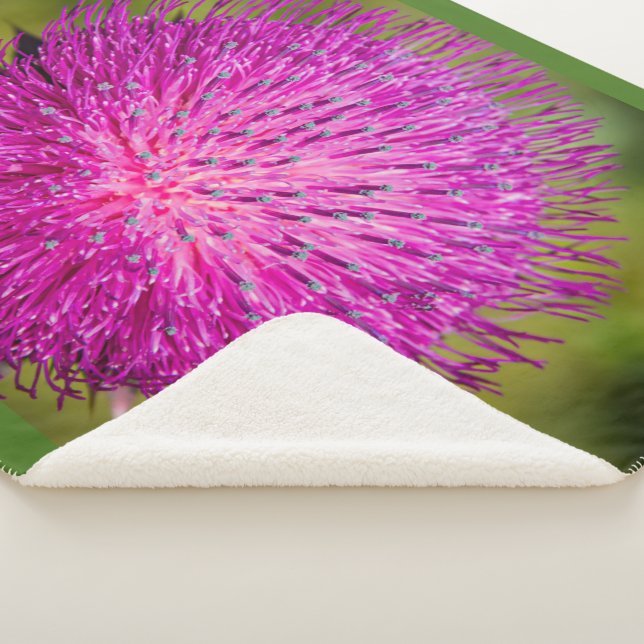 Manta Sherpa Leche con el cardo cerrado (3/4)