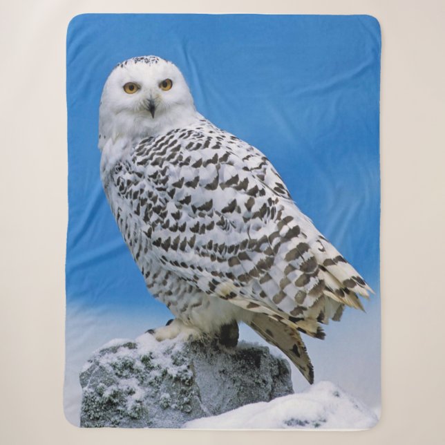 Manta Sherpa Lechuza de Nieve (Anverso)