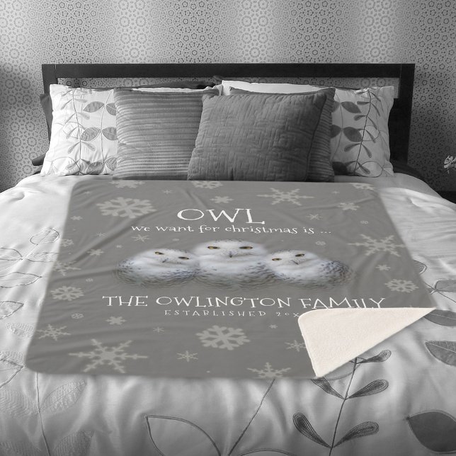 Manta Sherpa Lechuza divertida que queremos para los Navidades. (Funny Owl We Want for Christmas Snowy Owls Family Sherpa Fleece Blanket Cover Photo.)