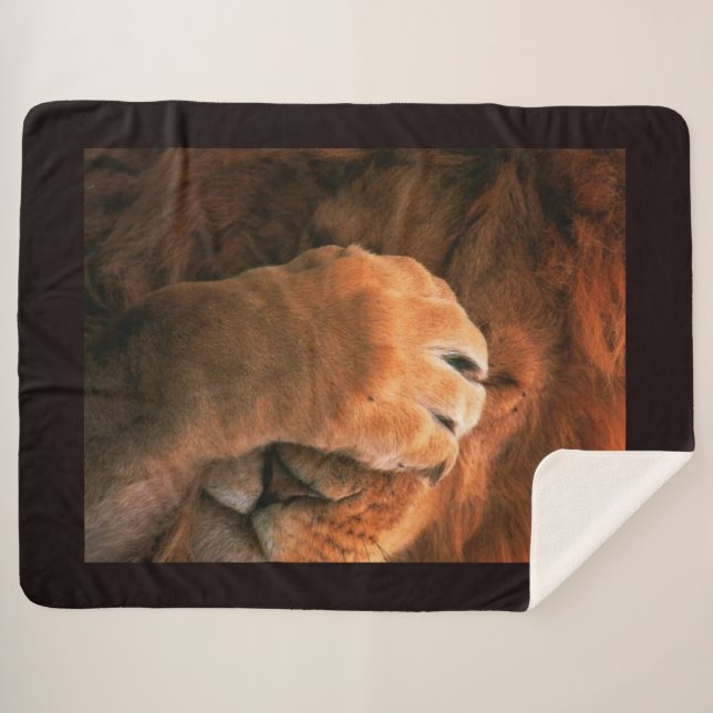 Manta Sherpa León (Anverso (horizontal))