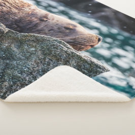 Manta Sherpa León Marítimo En La Bahía De Resurrección, Alaska