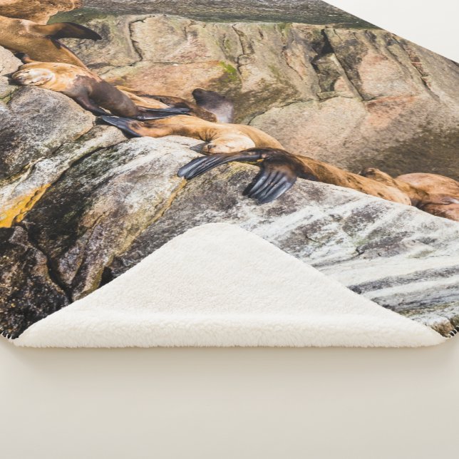 Manta Sherpa Leones Marinos Sobre Las Rocas (3/4)