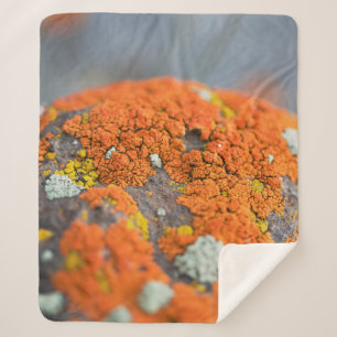 Manta Sherpa Lichen naranja moss stone gris