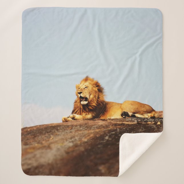 MANTA SHERPA LION ON GROUND DURING DAYTIME (Anverso)