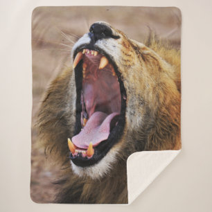 MANTA SHERPA LION YAWN