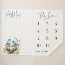 ¡Listo para incubar! Aves Cutas Hito