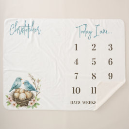 Manta Sherpa ¡Listo para incubar! Aves Cutas Hito