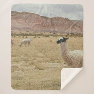 MANTA SHERPA LLAMA BLANCA EN GRASA MARRONA