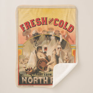 Manta Sherpa Los Osos Polares Están Disfrutando De Mugs De Cerv