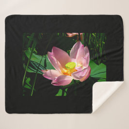 Manta Sherpa Lotus Blossom