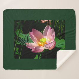 Manta Sherpa Lotus Blossom
