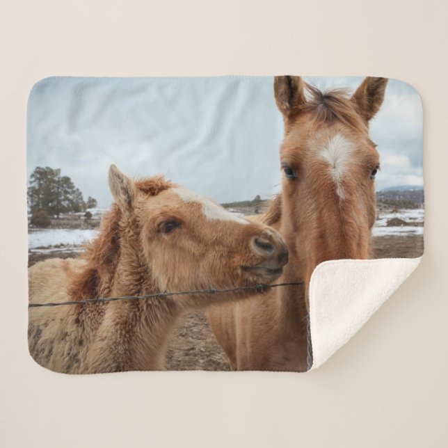 Manta Sherpa Madre de caballo y de pie (Anverso (horizontal))