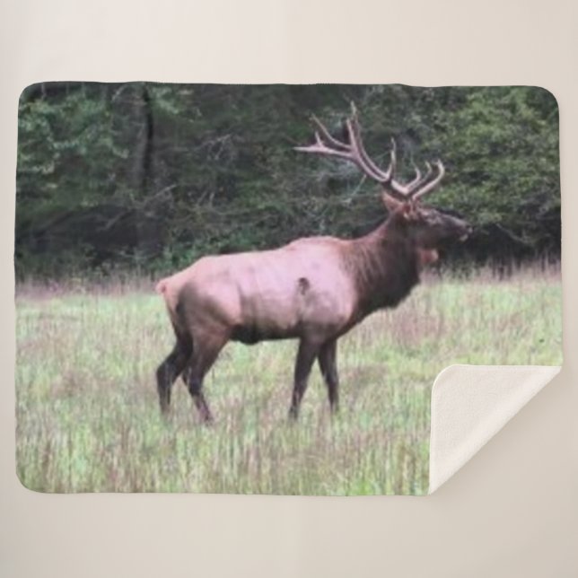 MANTA SHERPA MAJESTIC ELK (Anverso (horizontal))