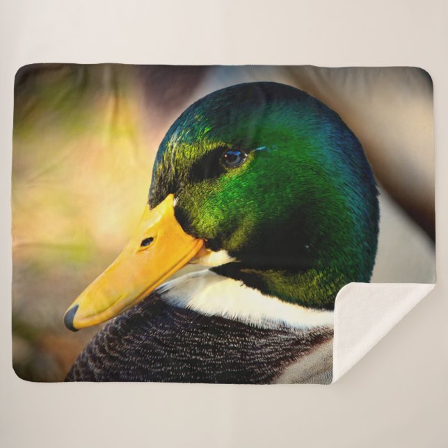 MANTA SHERPA MALLARD DUCK (Anverso (horizontal))