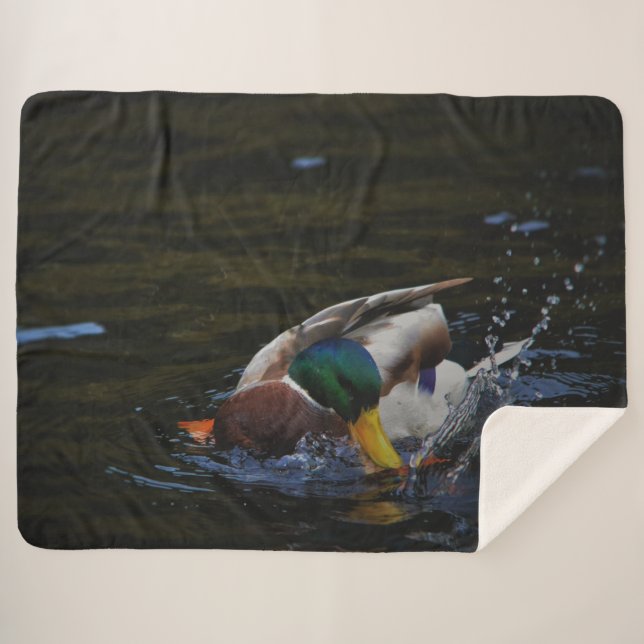 MANTA SHERPA MALLARD DUCK (Anverso (horizontal))
