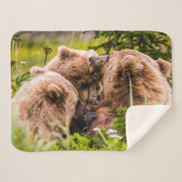 Manta Sherpa Mamá oso enfermería sus dos cobs, el lago Clark Na