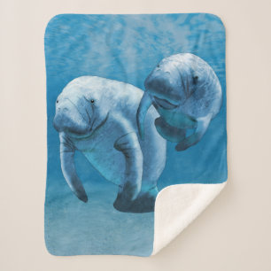 Manta Sherpa Manatíes