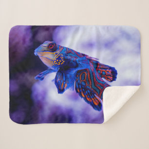 Manta Sherpa Mandarin Goby Fish