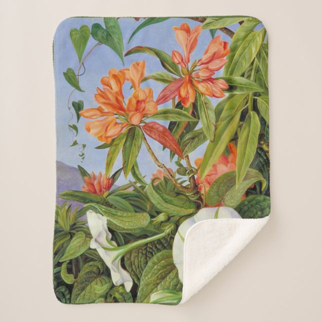 Manta Sherpa Marianne North - Javan Rhododendrum (Anverso)