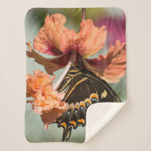 Manta Sherpa Mariposa de Swallowtail en hibisco anaranjado