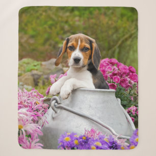 Manta Sherpa Mascota de Cachorro de Perro Beagle Tricolor en Co