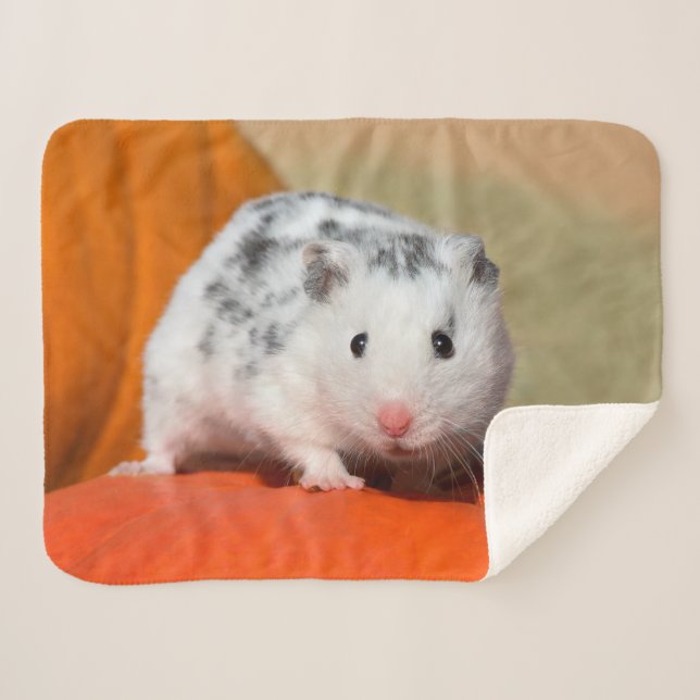Manta Sherpa Mascota negro blanco de SpotsFunny del hámster (Anverso (horizontal))