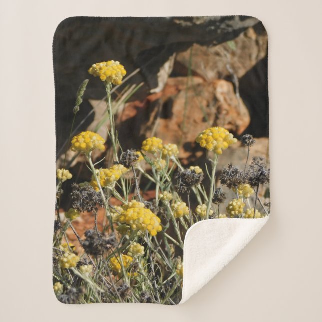 Manta Sherpa Matrícula (Anverso)