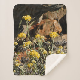 Manta Sherpa Matrícula