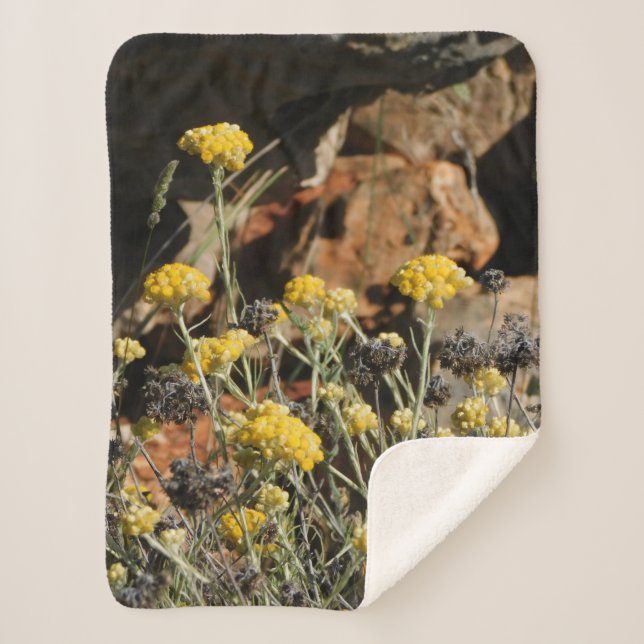 Manta Sherpa Matrícula (Anverso)