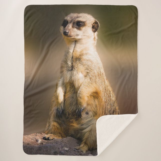 MANTA SHERPA MEERKAT (Anverso)