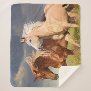 Manta Sherpa Mejores amigos