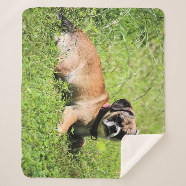 Manta Sherpa Molly (Anverso)