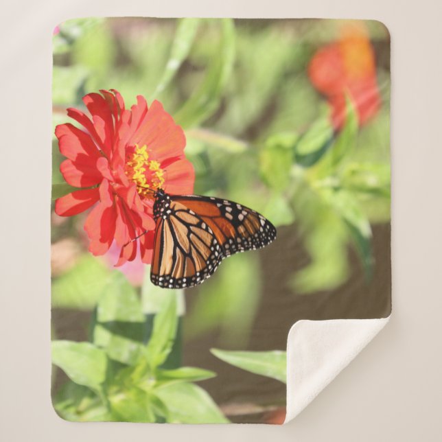 Manta Sherpa Monarca de Octubre (Anverso)