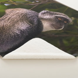 Manta Sherpa Mono azul, Zanzíbar