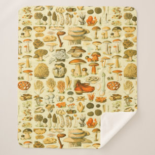 Manta Sherpa Mushroom Vintage Toadstool Ilustracion antiguo