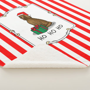 Manta Sherpa Navidades Santa Hat Irish Setter Dog (rojo 1)