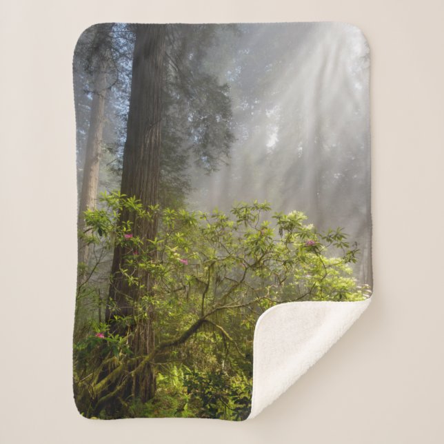 Manta Sherpa Niebla matutina en Rhododendron (Anverso)