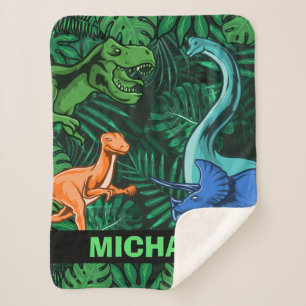 Manta Sherpa  Niños dinosaurios Dino Jurassic Trex Boy