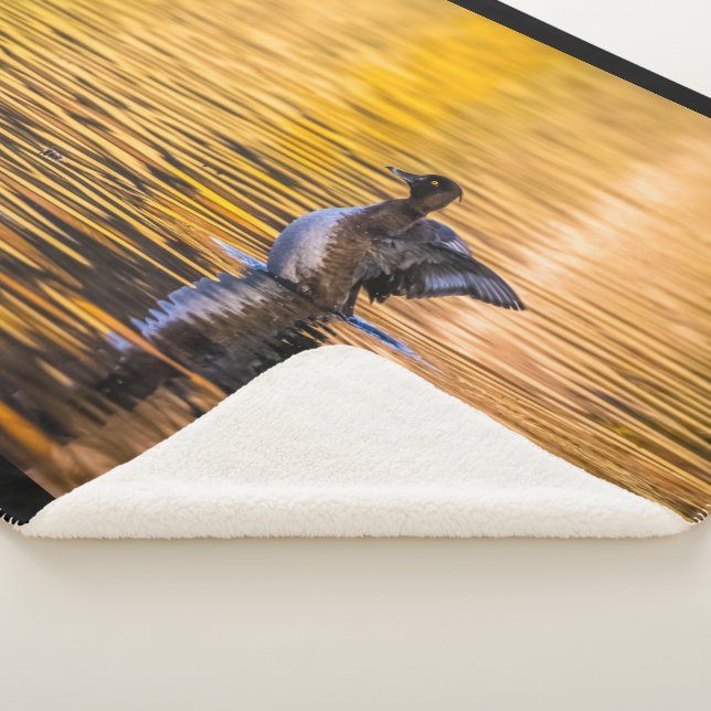 Manta Sherpa Ojo dorado en un lago dorado (3/4)