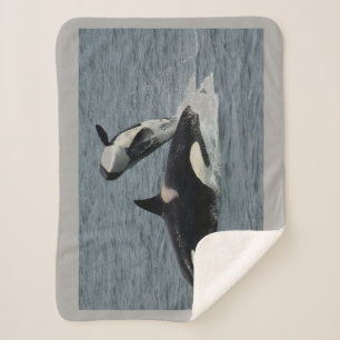 Manta Sherpa Orca y becerro