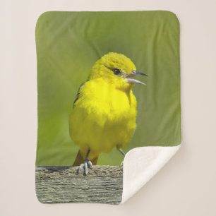 Manta Sherpa Orchard Oriole - Fotografía Original