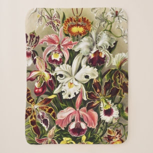 Manta Sherpa Orquídeas Orchideae Denusblumen Ernst Haeckel
