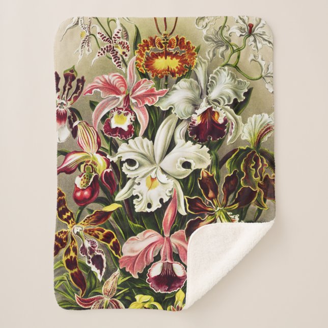 Manta Sherpa Orquídeas Orchideae Denusblumen Ernst Haeckel (Anverso)