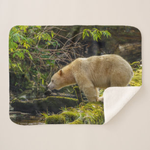 Manta Sherpa Oso Espíritu Blanco