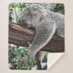 MANTA SHERPA OSO KOALA DURMIENDO EN ÁRBOL