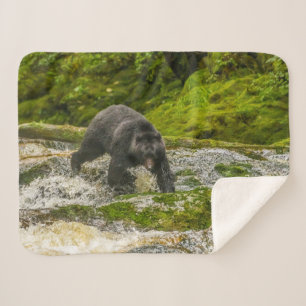Manta Sherpa Oso negro pescando   Qua Creek Columbia Británica