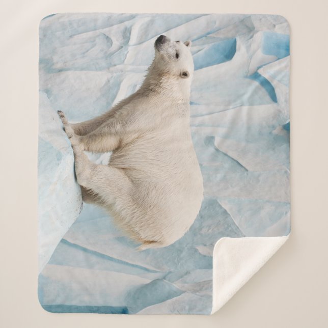 Manta Sherpa Oso Polar: Vistazo al Zoo Habitat (Anverso)