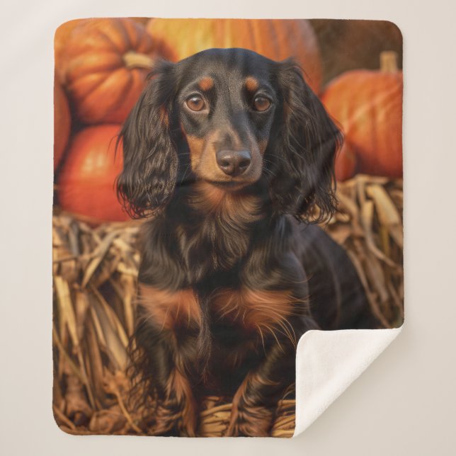 Manta Sherpa Otoño Dachshund (Anverso)