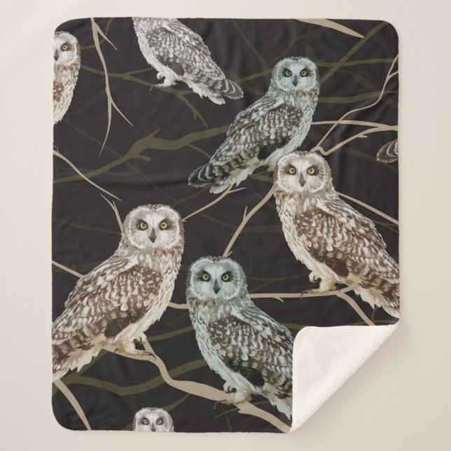 Manta Sherpa owl sitting on a branch (Anverso)