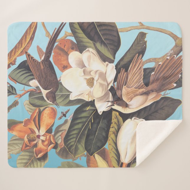 Manta Sherpa Pájaro Cuckoo (Anverso (horizontal))